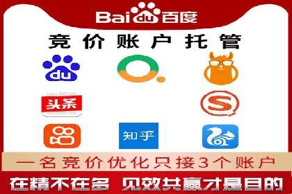 SEM推广案例：揭秘高ROI背后的策略与实践
